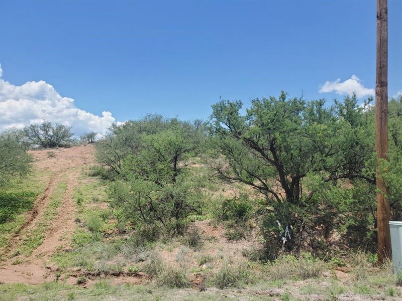 .52 Acre Parcel in Rio Rico, AZ : Rio Rico : Santa Cruz County : Arizona