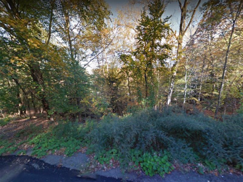 Prime Lifestyle Pocket Parcel : Colden : Erie County : New York