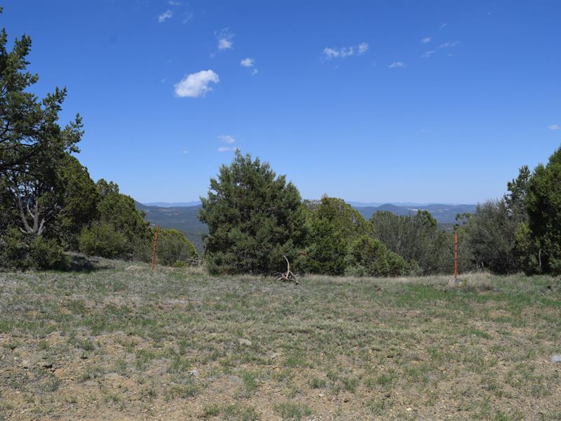 Darling Bell Tract : Silver City : Grant County : New Mexico