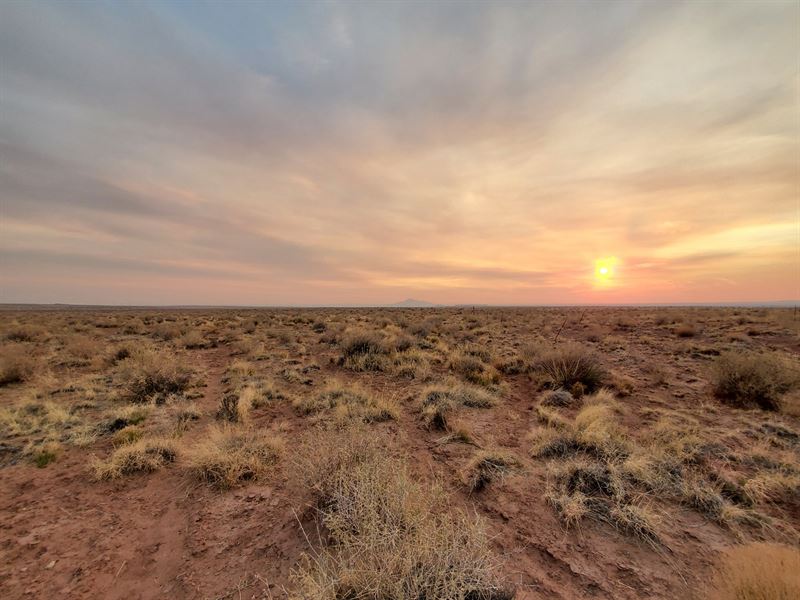 Wide Land with Breathtaking View : Holbrook : Navajo County : Arizona