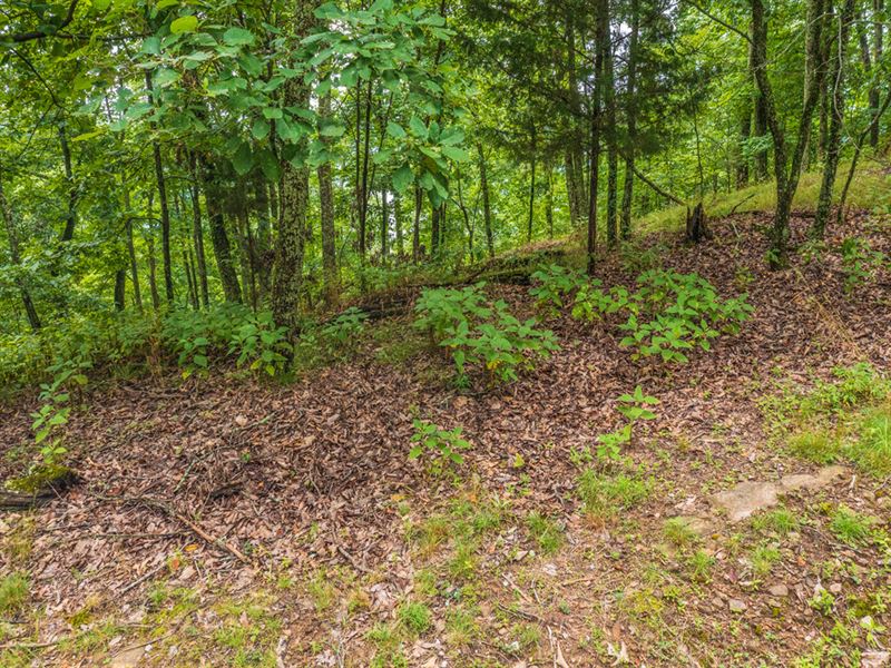 Cherokee Lake View Building Lot : Mooresburg : Hawkins County : Tennessee
