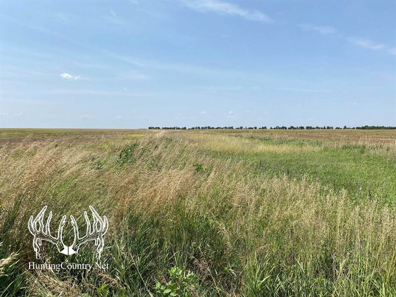 61 Acres M/L. Sumner County, Kansas : Anthony : Sumner County : Kansas