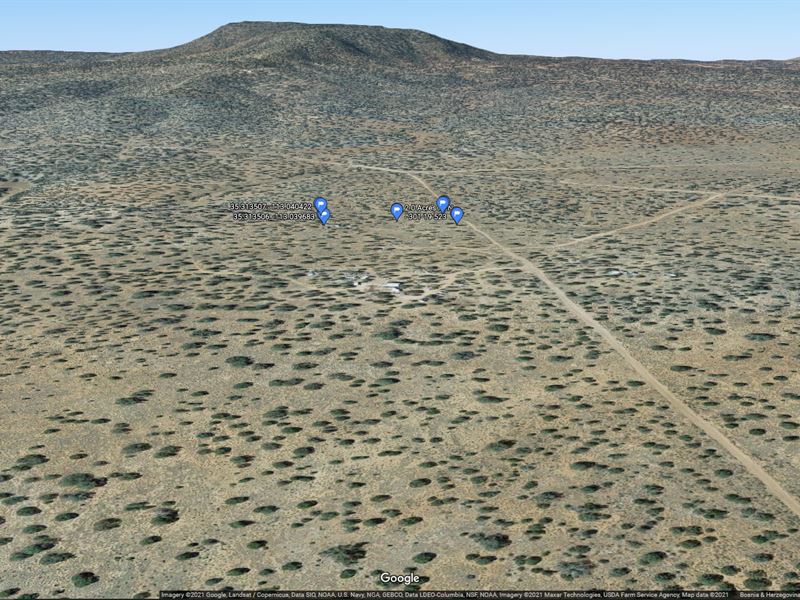 Relatively Flat Lot with Trees : Seligman : Yavapai County : Arizona