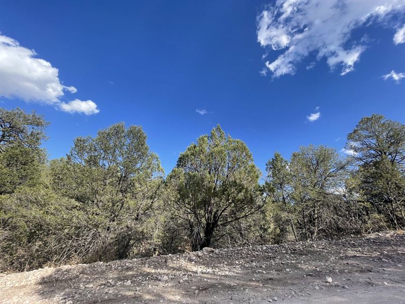 Build, Bring Your RV & Relax : Timberon : Otero County : New Mexico