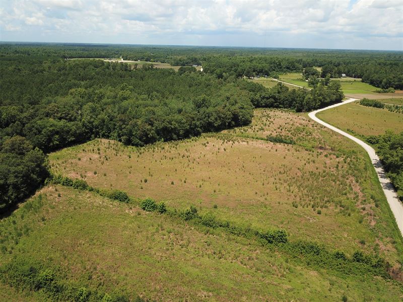 Black Creek Road Tract : Nichols : Horry County : South Carolina
