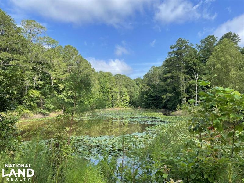Spencer Branch Homesite and Recreat : Northport : Tuscaloosa County : Alabama