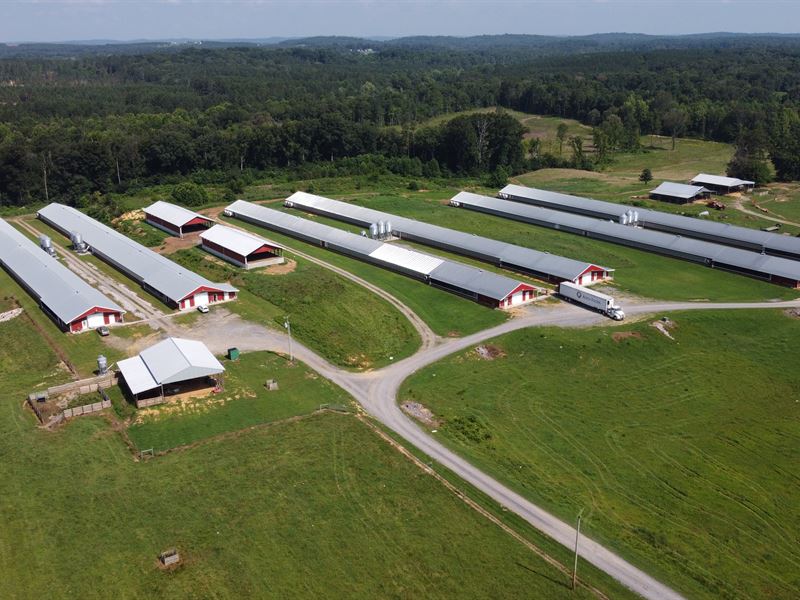 Rare 8 House Poultry Breeder Farm : Old Fort : Bradley County : Tennessee