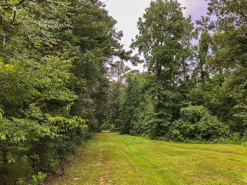 46 Acres Tract 10 Wheatfield Branch : Oakhurst : San Jacinto County : Texas