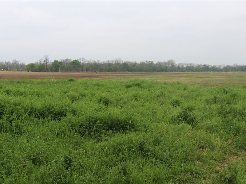 Recreational Land for Sale : Idabel : McCurtain County : Oklahoma