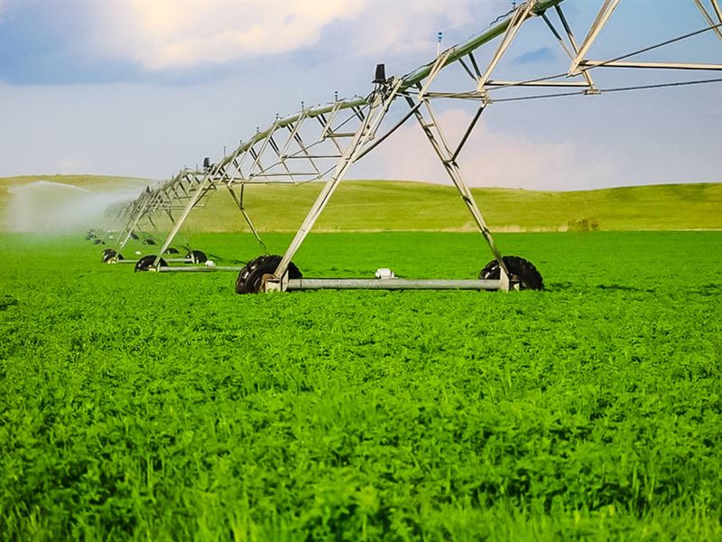 Highly Productive NE Farm & Ranch : Bassett : Rock County : Nebraska