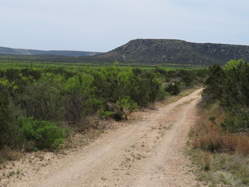 Hunting, Recreational Property : Robert Lee : Coke County : Texas