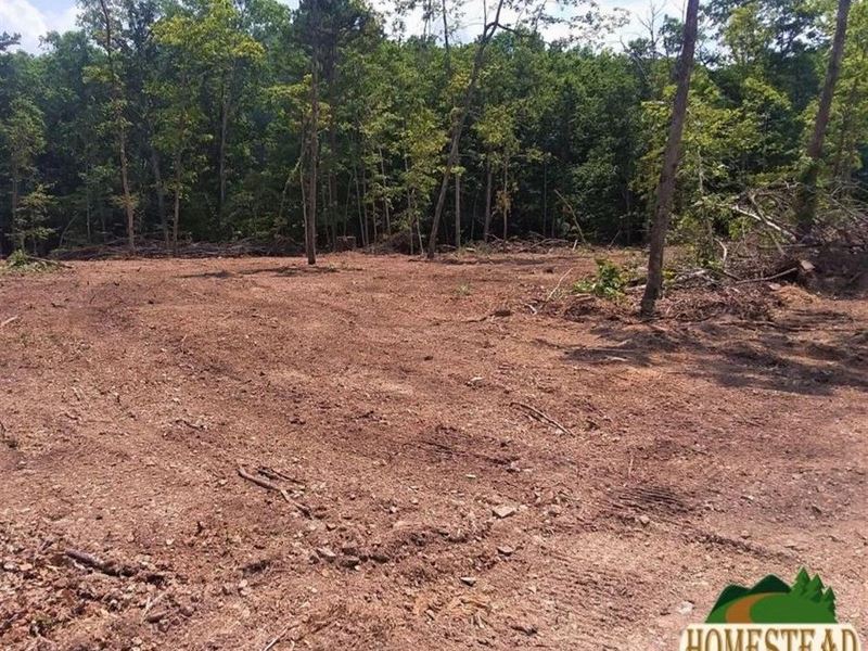 Located at End of Easement Rd : Thomasville : Oregon County : Missouri