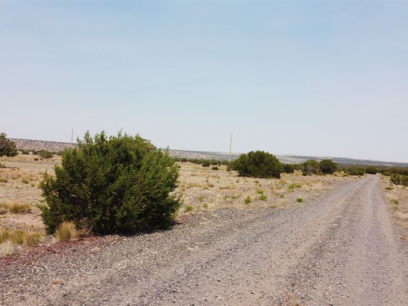 Prime Location Near Lake Concho : Concho : Apache County : Arizona