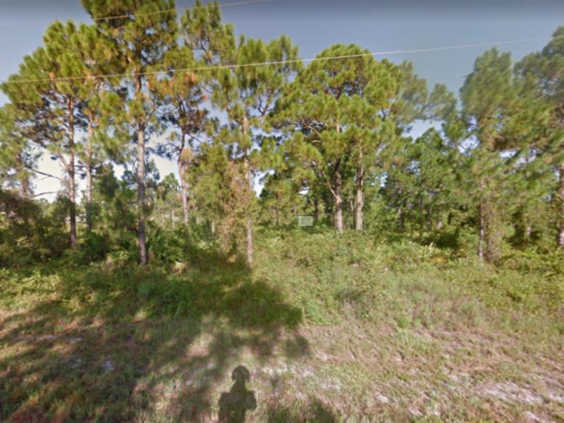Lee County Lot for Sale : Lehigh Acres : Lee County : Florida