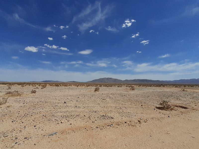 Hot Airbnb Area Near Joshua Tree : Wonder Valley : San Bernardino County : California