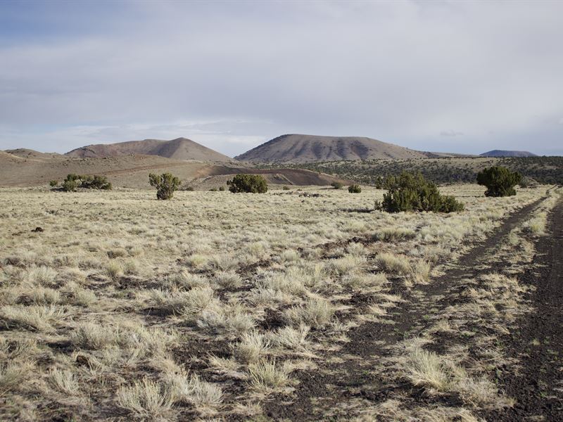 Remarkable 1 Acre Off Grid Lot : Concho : Apache County : Arizona