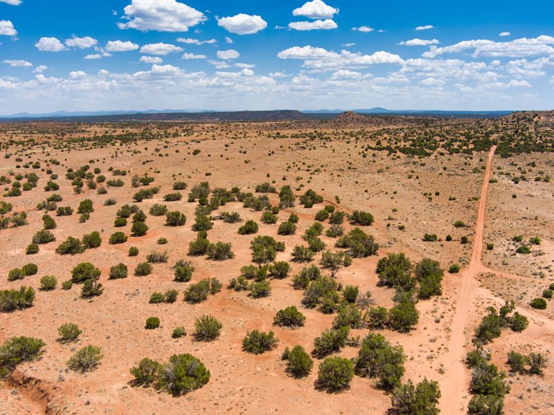 Blue Skies and Beautiful Horizons : Snowflake : Navajo County : Arizona