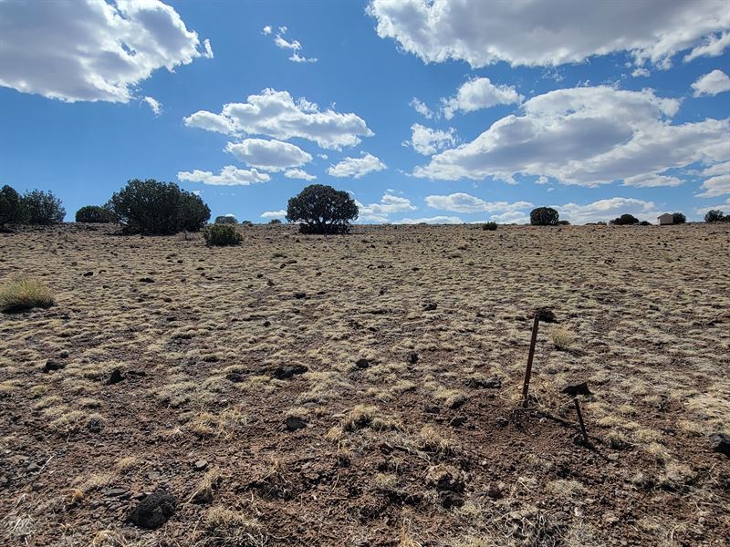 Campers Gather on This 1 Acre Gem : Concho : Apache County : Arizona
