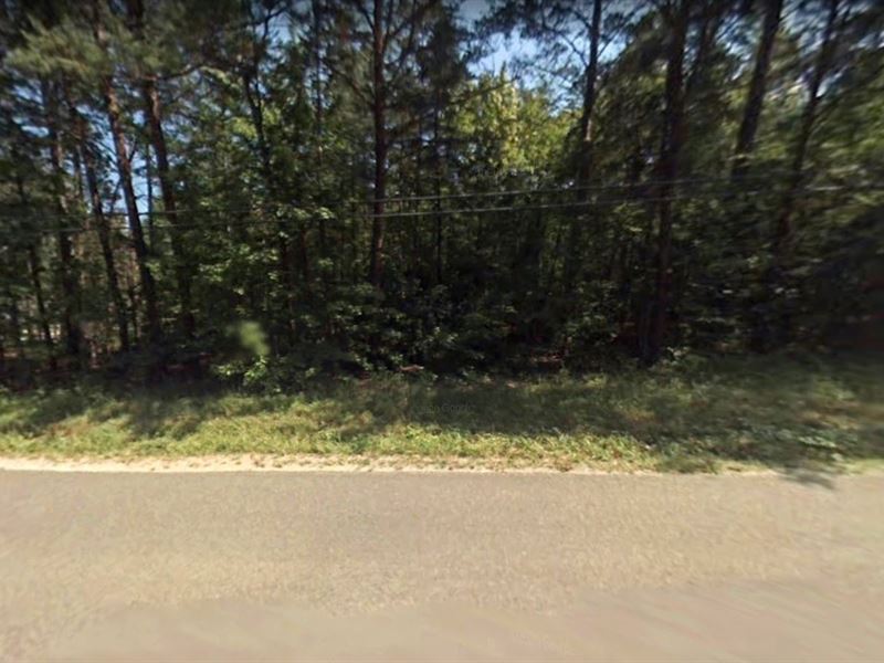 20 Acres in Pittsylvania County, VA : Long Island : Pittsylvania County : Virginia