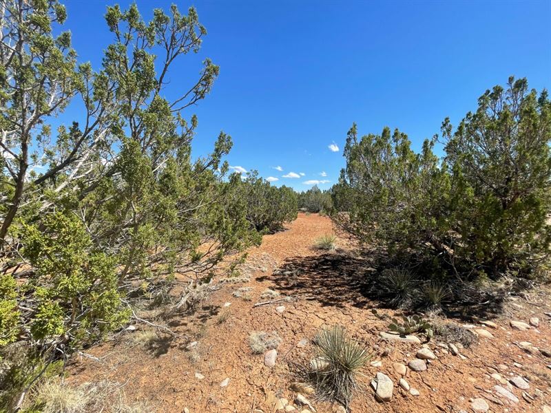 Build Your Own Tiny Home or Cabin : Manzano : Torrance County : New Mexico