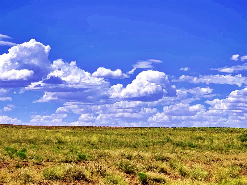 Buildable Land with Amazing View : Holbrook : Apache County : Arizona