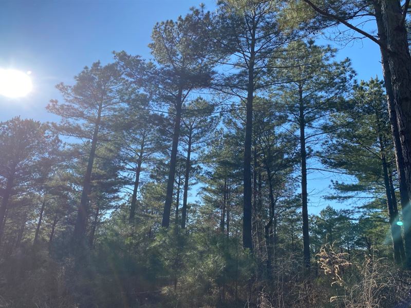 176 Acres in Lafayette County in WA : Water Valley : Lafayette County : Mississippi