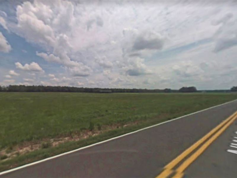 Lot for Sale in Hamilton County : Jennings : Hamilton County : Florida