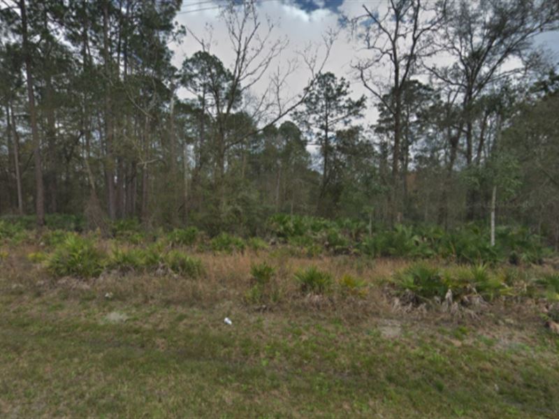 Lot for Sale in Putnam County, FL : Florahome : Putnam County : Florida