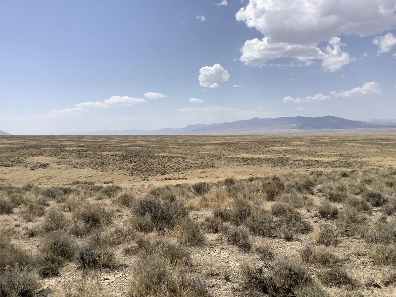 R U Kidding Me, Land for Sale : Elko : Elko County : Nevada