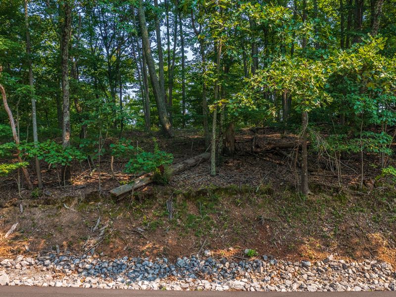 Building Lot with Lake Views : Mooresburg : Hawkins County : Tennessee