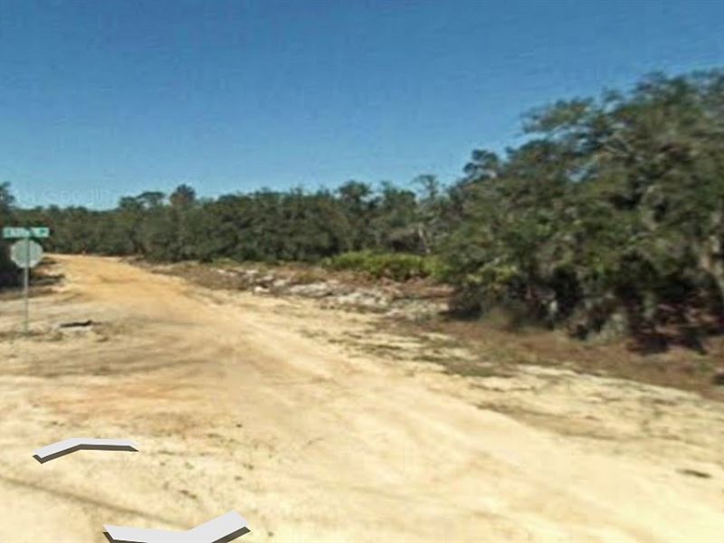Lovely Lot Steps From Lake Olivia : Avon Park : Highlands County : Florida