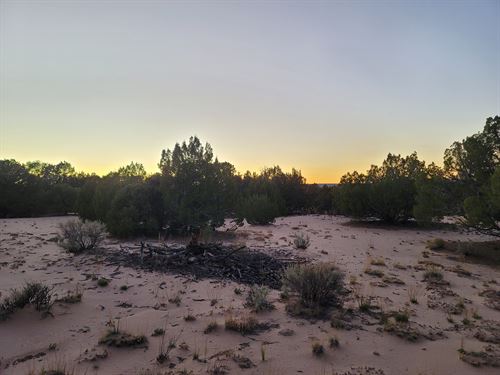 2.5 Unrestricted Acres : Saint Johns : Apache County : Arizona