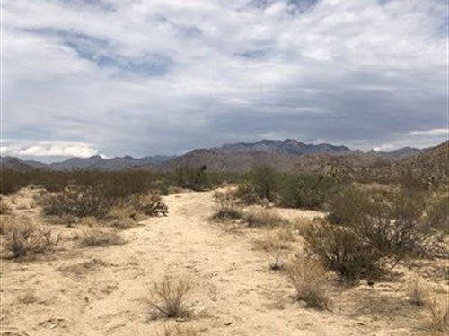 Buildable Lot with a View : Yucca : Mohave County : Arizona