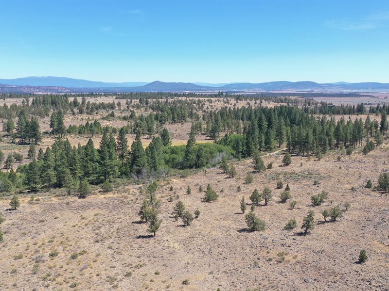 Wonders Await in The Sunshine City : Chiloquin : Klamath County : Oregon
