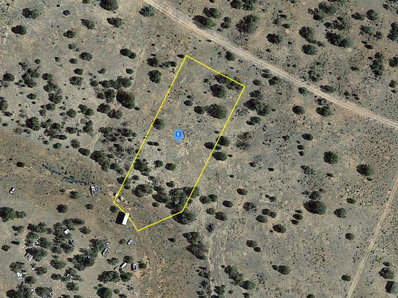 Welcome to The Grand Canyon State : Williams : Coconino County : Arizona