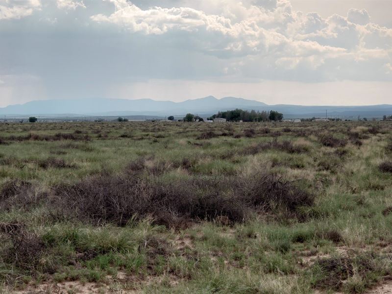 Spend Time in The Great Outdoors : Moriarty : Torrance County : New Mexico