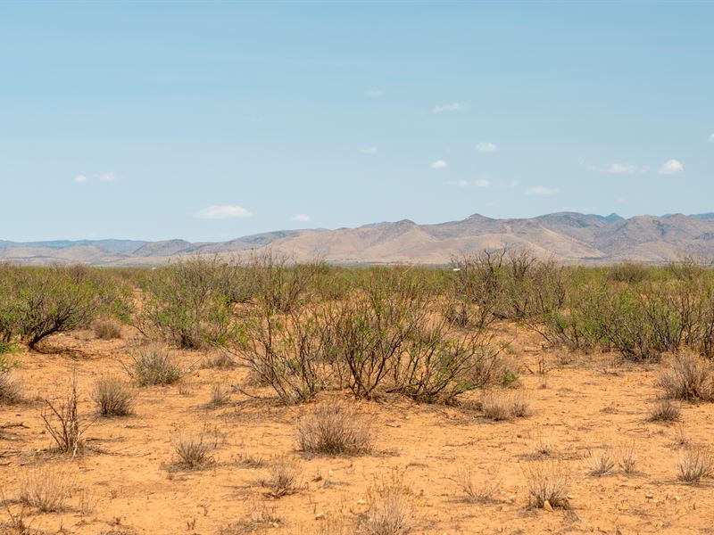 The Eye Can See a Lot of Space : Pearce : Cochise County : Arizona