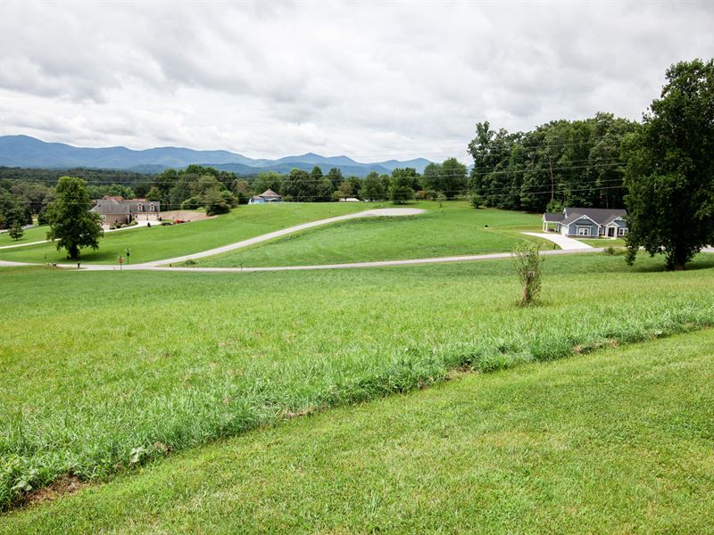 The Arbor Lot 10 : Blairsville : Union County : Georgia