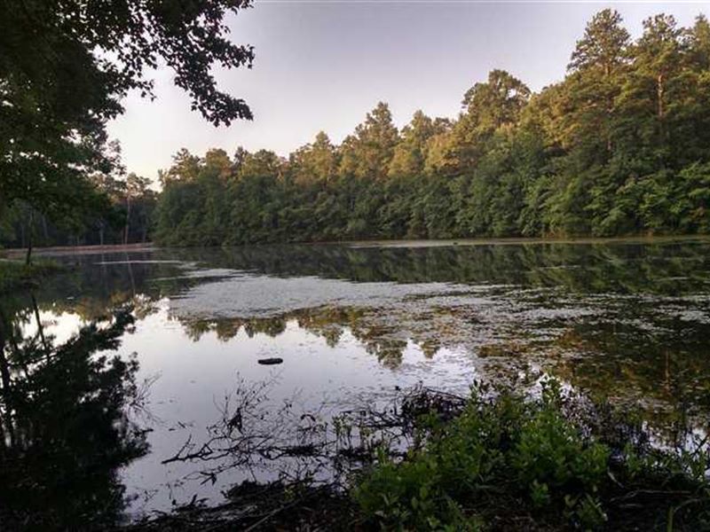 24 Acres in Carroll County : Bremen : Carroll County : Georgia
