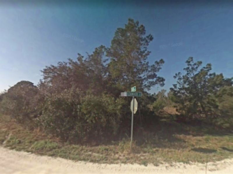 Land for Sale in Highlands County : Lake Placid : Highlands County : Florida