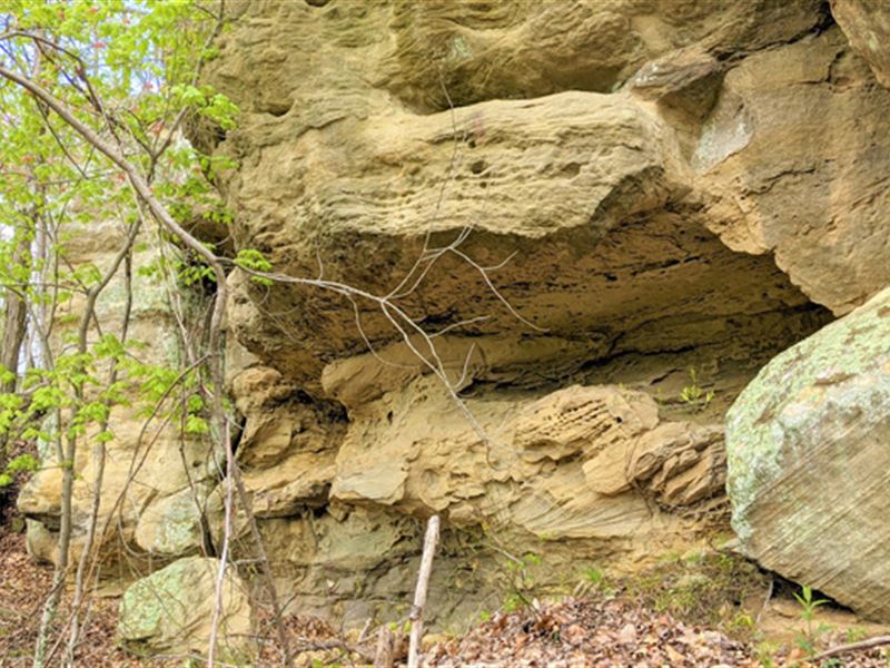 Ohio Land for Sale in Athens County : Guysville : Athens County : Ohio