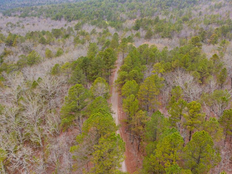 Rock Creek Ranch II : Bengal : Le Flore County : Oklahoma
