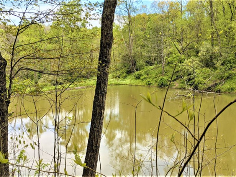 Ohio Land for Sale, Hocking County : Nelsonville : Hocking County : Ohio