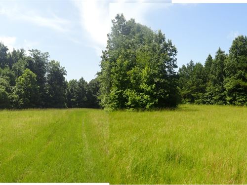 224 Acres Hunting and Timber : Batesville : Panola County : Mississippi