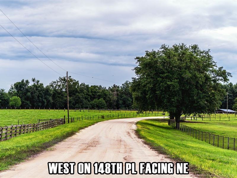 $4900 Down, Camp, Hunt, Fun : Wellborn : Suwannee County : Florida