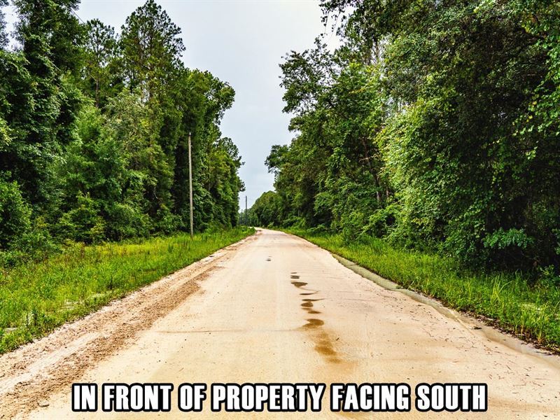 $4,900 Down, RV Okay, Old Town, FL : Old Town : Dixie County : Florida