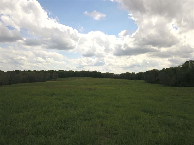 186 Acres Mixed Use : Versailles : Morgan County : Missouri
