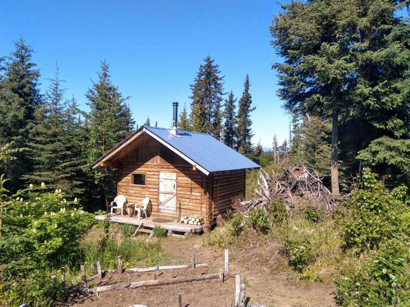 Offgrid Log Cabin on 3.62 Acres : Anchor Point : Kenai Peninsula Borough : Alaska