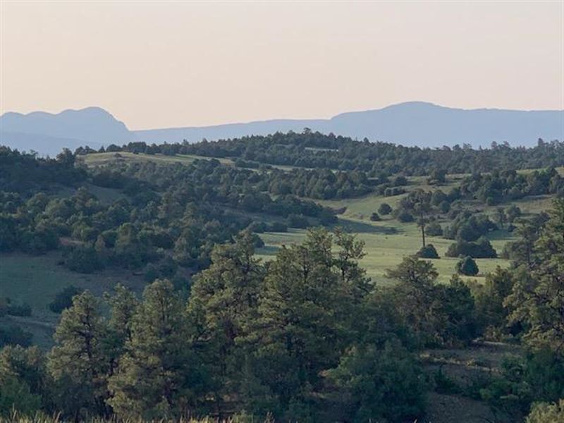 Willow Creek Access Road : Chama : Rio Arriba County : New Mexico