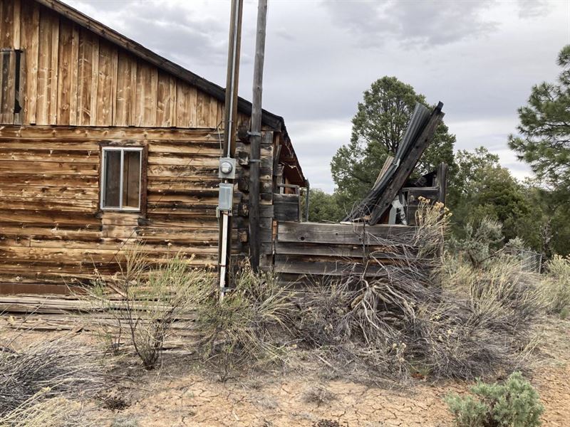 Lindrith Hunting Cabin, Land for Sale in New Mexico, 286235 LANDFLIP